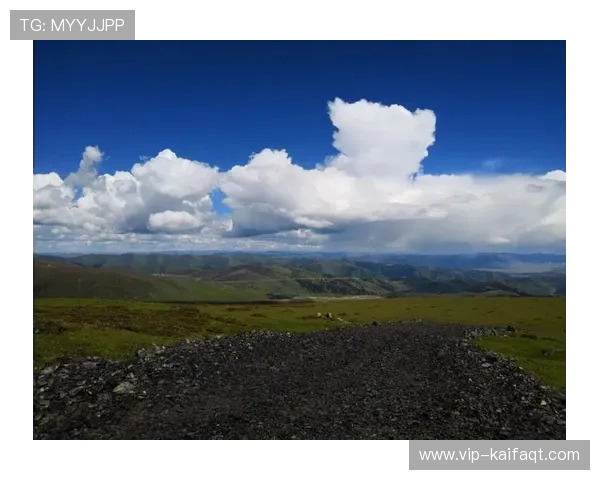天生赢家一触即发凯发：结合实战案例讲解游戏中的策略布局与应变技巧